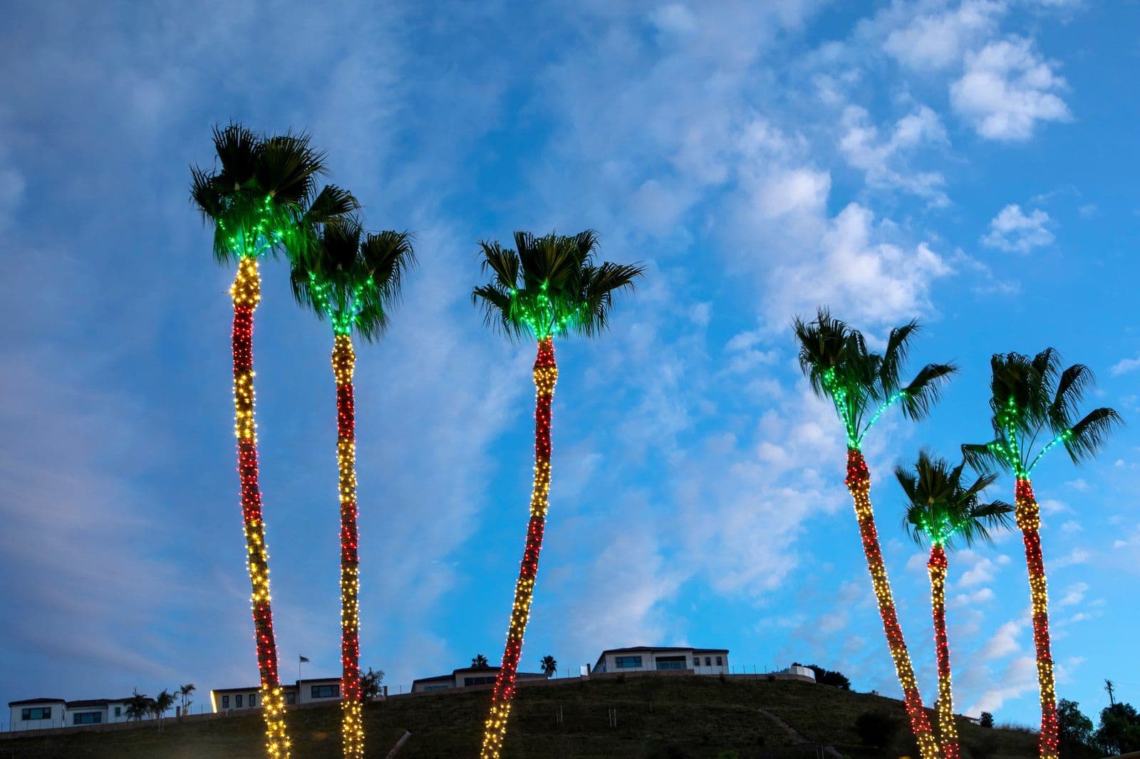 Tall palms with red, green, and gold trunk wraps against an evening sky
